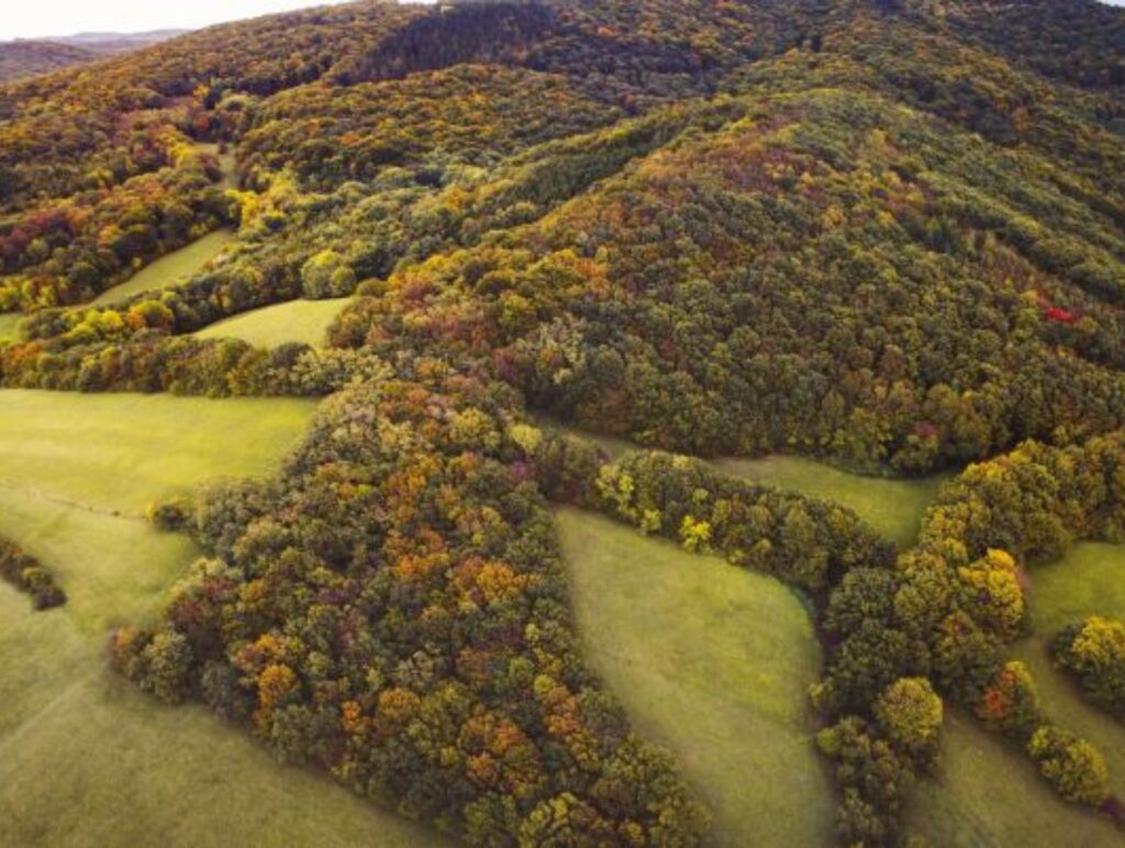 Der Wienerwald ist ein beliebtes Ausflugsziel von Wien aus.