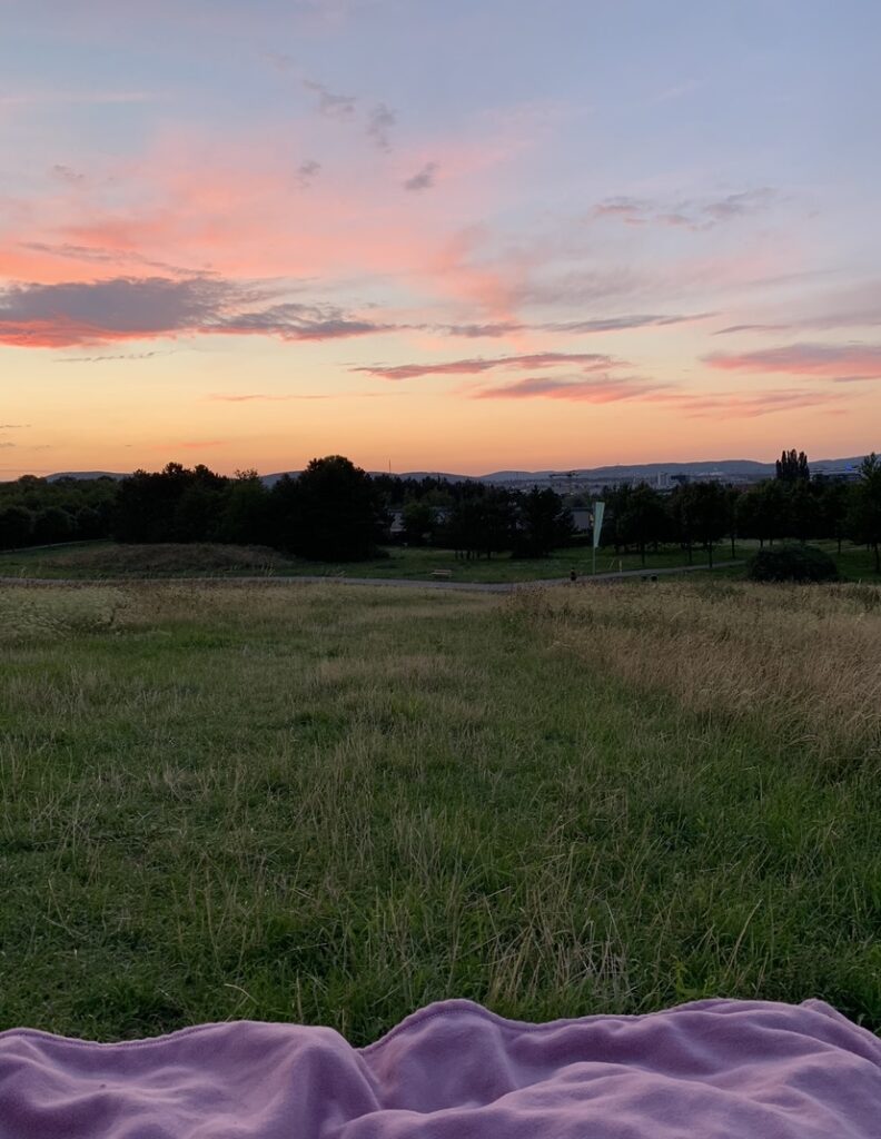 Sonnenuntergänge in Wien am Kellerberg